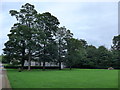 Lawn at Alloa Tower