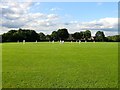 Berrylands Recreation Ground, Sayers Common