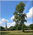 SU8477 : Tree and Church, Shottesbrooke by Des Blenkinsopp