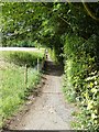 SP9210 : Path from Tring Park to Tring by Rob Farrow