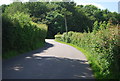 A narrow Kentish lane