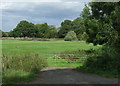 Field entrance off the A1123