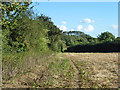 Footpath to Southbrook Road