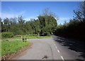 A390 near Cholwell Plantation