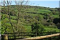 Lynher valley from Frogwell