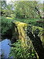 Bridge over Haye Valley Stream