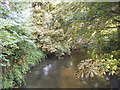 Beverley Brook, Roehampton