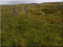 NN3503 : Fenceline climbing steeply out of Cailness Burn catchment  by ian shiell