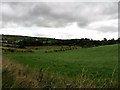 Farmland east of the Moneyslane Road