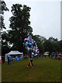 TM1645 : Helium Balloon, Christchurch Park by Hamish Griffin