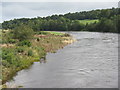 NJ8500 : The River Dee from Maryculter Bridge by M J Richardson