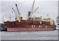 J3576 : The 'UBC Livorno' at Belfast by Rossographer