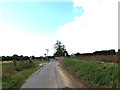 TM2993 : Low Road, Woodton by Geographer