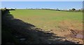 Field near Bearland