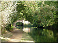 Bridge 202, Grand Union Canal