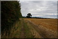 Path near Red House Farm