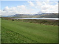 Upper Loch Carron