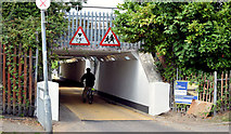 J3675 : Subway, Victoria Park, Belfast (August 2014) by Albert Bridge