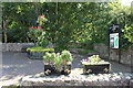 Floral Display at West Kilbride Glen