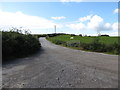 Farm road at Ballymurry