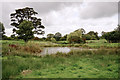 Cheshire scene with pond