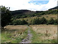 Track to the river from Railway Terrace, Blaengarw