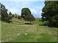 Field below Cross House Farm