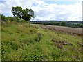 Edge of a field near Bowerwood