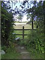 An awkward stile, Hembercombe, Broadhembury