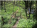 Footpath by the Avon