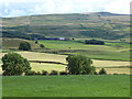 Fields near Five Lane Ends