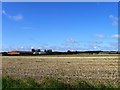 Stubble field