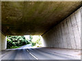 Under the A14 Felixstowe Road on Grove Hill