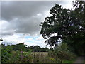 Footpath from Crieff Bridge to Duchlage (8)