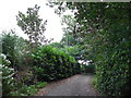 Footpath from Crieff Bridge to Duchlage (12)