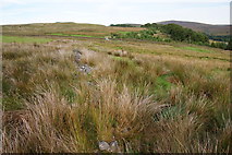 SD6054 : Former field boundary below White Moor by Bill Boaden