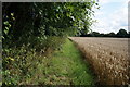 Path leading to Seaton Ross