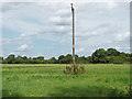 Field off Bottle Lane