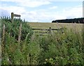 Public bridleway