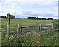 Public Bridleway 