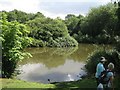 Lake, University of Warwick campus, Coventry