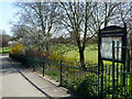 The way in to Mostyn Gardens