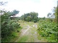 Winfrith Heath, track junction