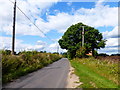 Looking northwards on Itchel Lane towards Itchel Lane Cottage