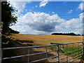 Cables cross field near Itchel Home Farm