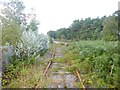 Winfrith Heath, disused railway line