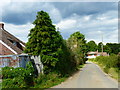 Road heading north towards Rye Common