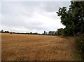 Field of Bales and Stubble near Scropton