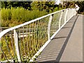 Metal railings, Festival Park