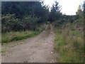 Farm track near Dalvenvie